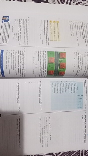 Uzman yayınları 11. Sınıf Tarih soru bankası - Görsel 3