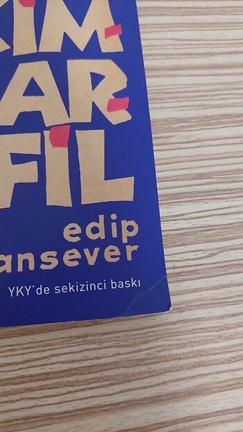  Yer Çekimli Karanfil - Edip Cansever
