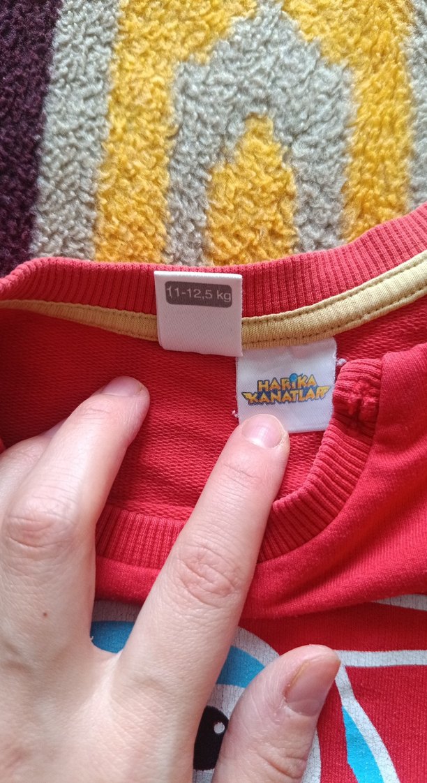 Uzun Kollu, Baskılı Erkek Çocuk Tişörtü - Görsel 3