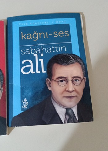 Sabahattin Ali - İçimizdeki Şeytan ve Kağnı-Ses - Görsel 3