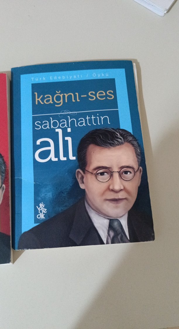 Sabahattin Ali - İçimizdeki Şeytan ve Kağnı-Ses - Görsel 3