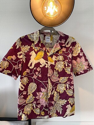 Zara Dragon Erkek