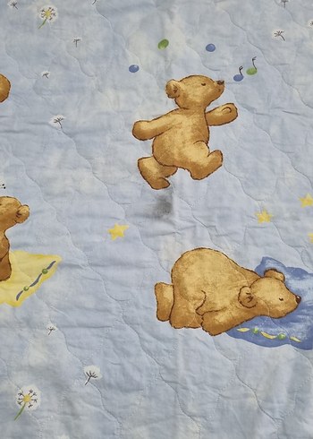 Ayıcık Desenli Çocuk Battaniyesi - Görsel 2