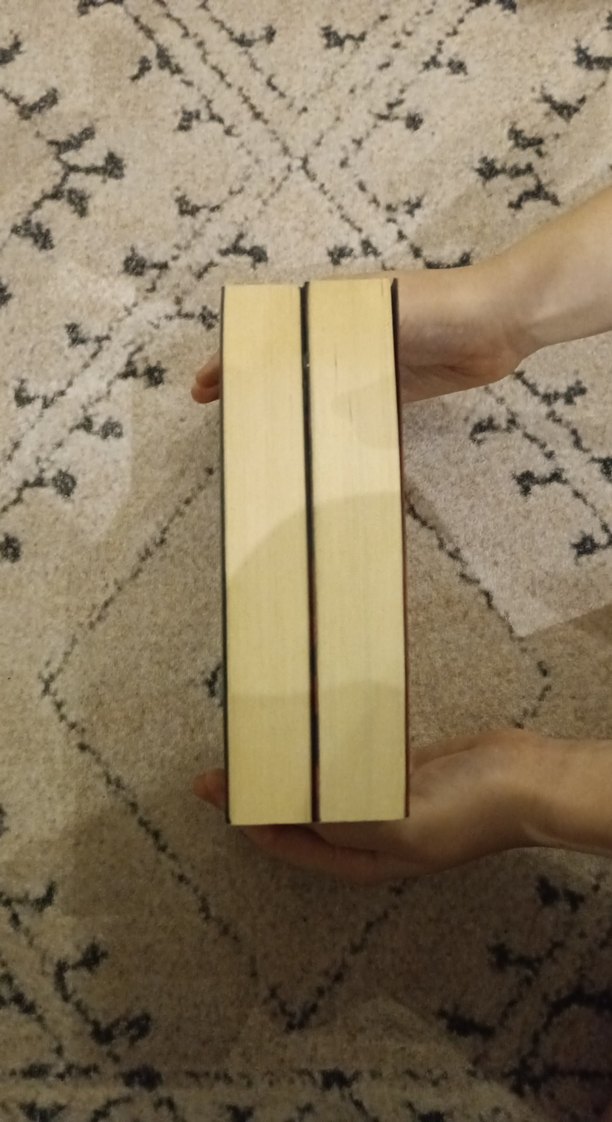 Leigh Bardugo - Gölge ve Kemik & Çöküş ve Çukselis - Görsel 3