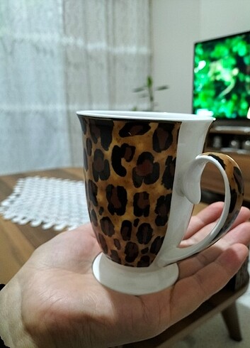 Leopar kupa hiç bir sorunu yok