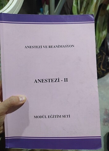 Anestezi 