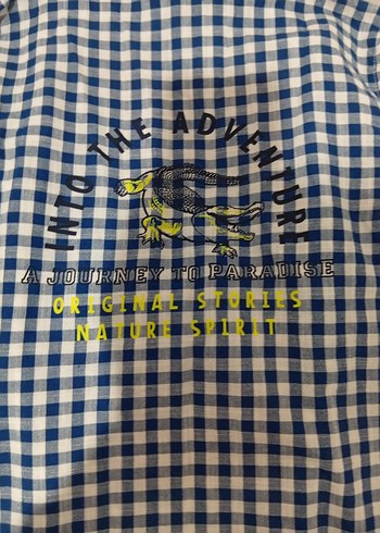 Mavi Kareli Kısa Kollu Erkek Gömlek - Görsel 4