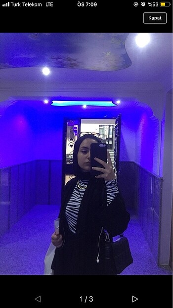zebra body