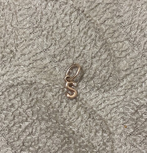 Pandora S Harfi Charm