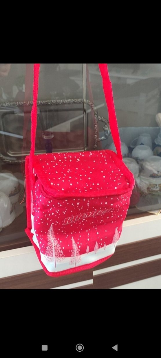 Çok Renkli termos çantalar - Görsel 3