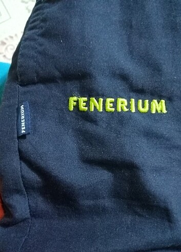 Standart Beden Beden lacivert Renk Fenerium şortu 