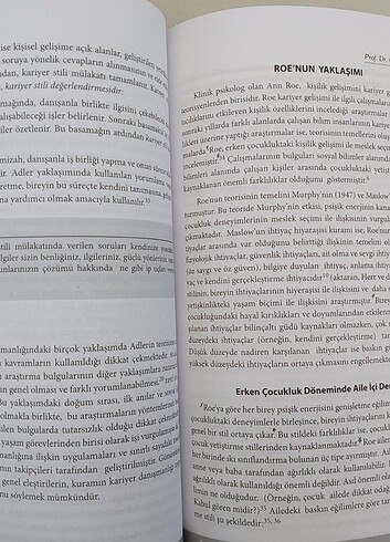 Beden Renk Mesleki Rehberlik ve Kariyer Danışmanlığı (Pegem Akademi)