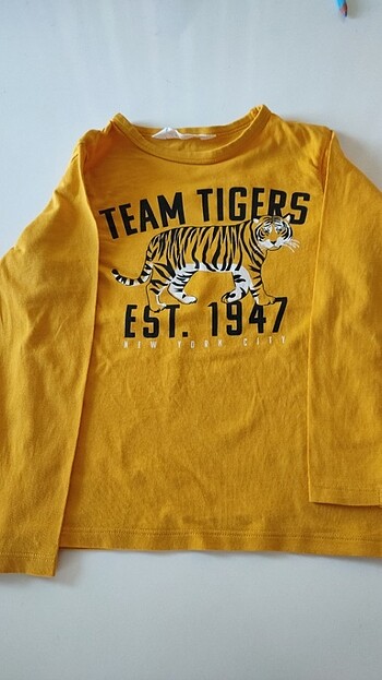 Erkek sweatshirt 