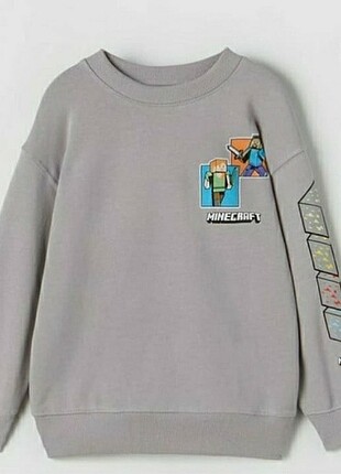 Zara sweatshirt