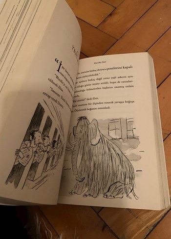 David Walliams Buz Canavarı Kitabı - Görsel 3