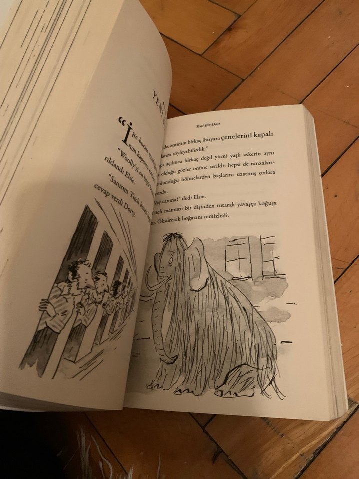 David Walliams Buz Canavarı Kitabı - Görsel 3