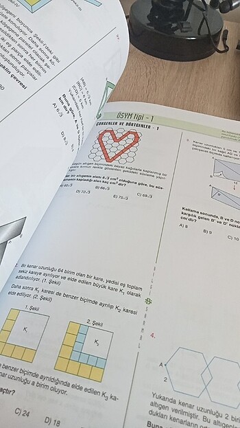  Beden Tyt ayt geometri bilgi sarmal