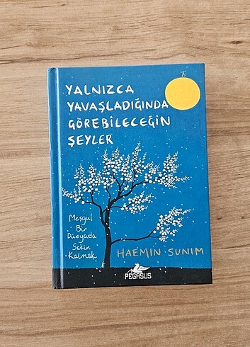 Yalnızca Yavaşladığında Görebileceğin Şeyler/ Haemin Sunim