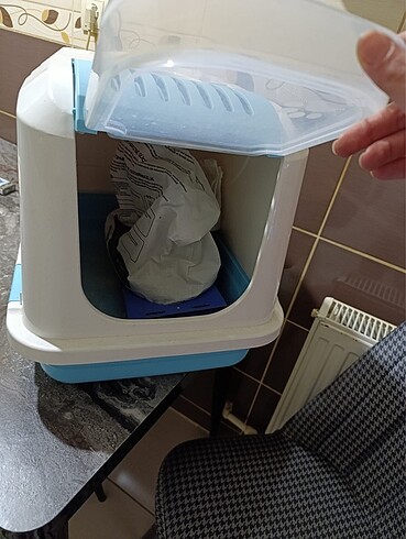  Kedi kutusu