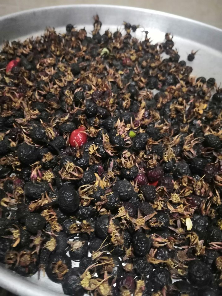 Kurutulmuş  siyah. Kuş burnu


 Dogal kuş burnu - Görsel 2