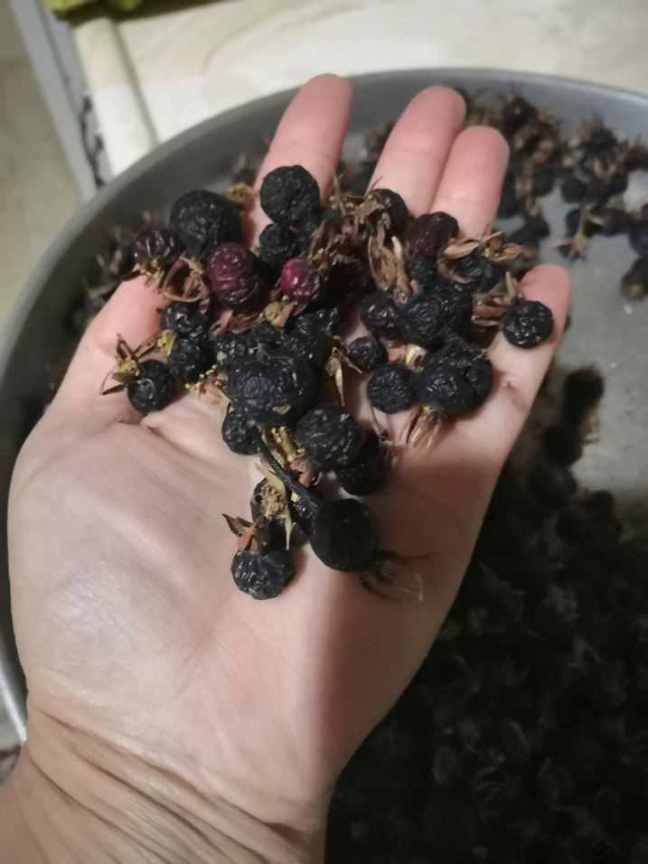 Kurutulmuş  siyah. Kuş burnu


 Dogal kuş burnu - Görsel 4