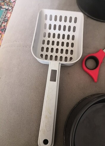 Kedi mazemsı