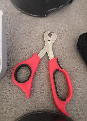 Kedi mazemsı - Görsel 3