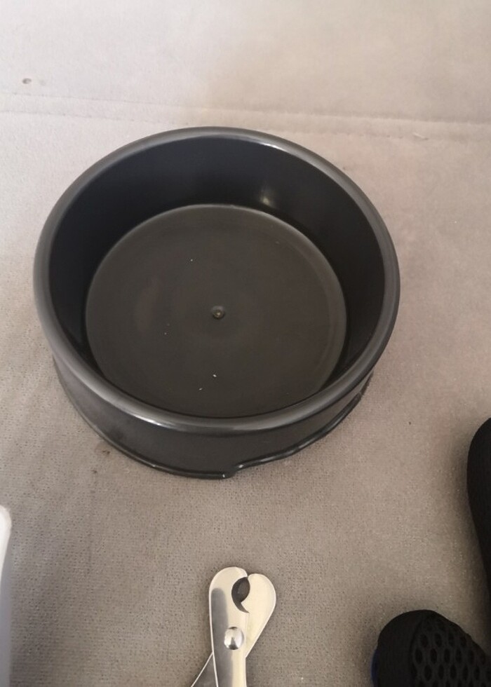 Kedi  mazemsı - Görsel 2