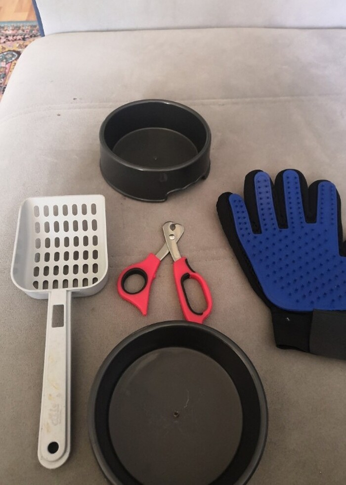 Kedi  mazemsı - Görsel 4