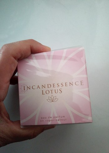 Incandessence Lotus Kadın Parfümü