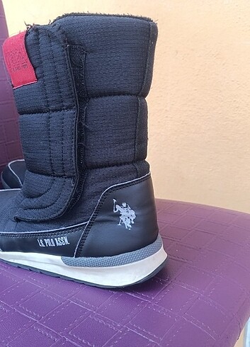 Uspa polo bot 