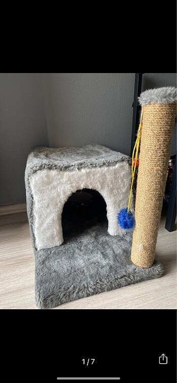 Kedi Evi