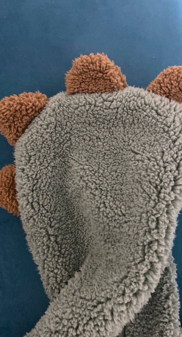 Erkek Çocuk Kürklü Polar Ceket - Görsel 2