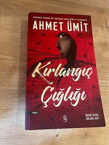 Kırlangıç çığlığı Ahmet ümit