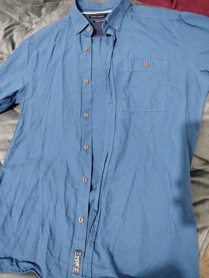 LCW Casual Mavi uzun  Kollu Erkek Gömlek - Görsel 2