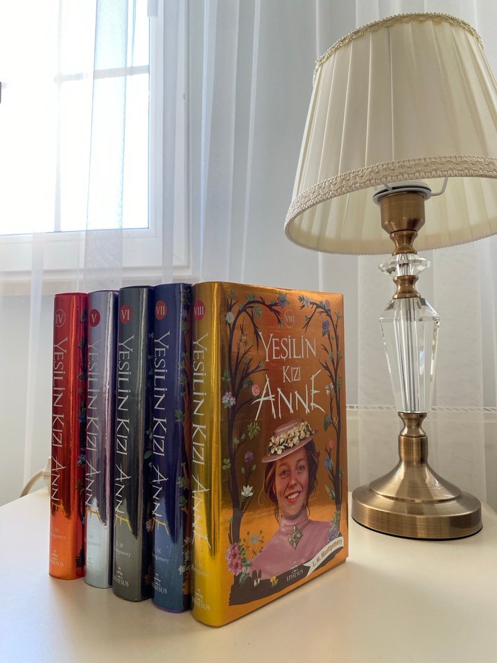 Yeşilin Kızı Anne Roman Seti - Görsel 2