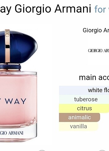  Beden Renk Armani My Way Parfüm