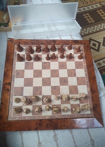 Mini satranç.