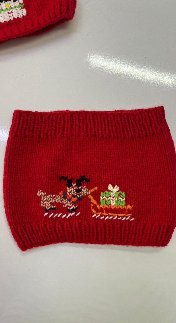 Kırmızı Nakışlı Çocuk Bere ve Boyunluk Seti - Görsel 3