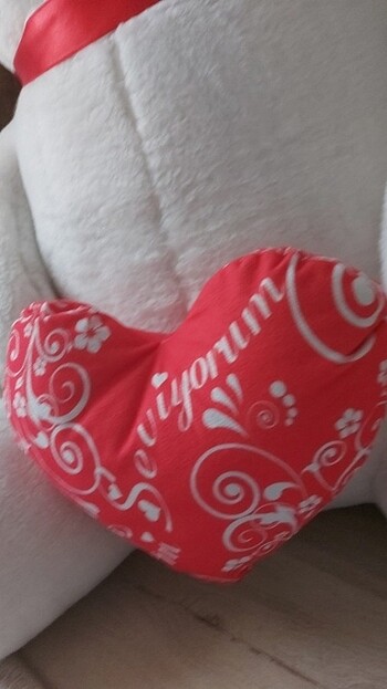 Pelus ayı  - Görsel 6