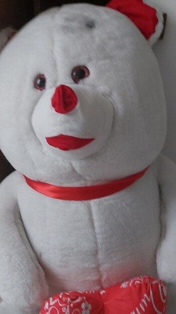 Pelus ayı  - Görsel 7