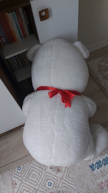 Pelus ayı  - Görsel 8