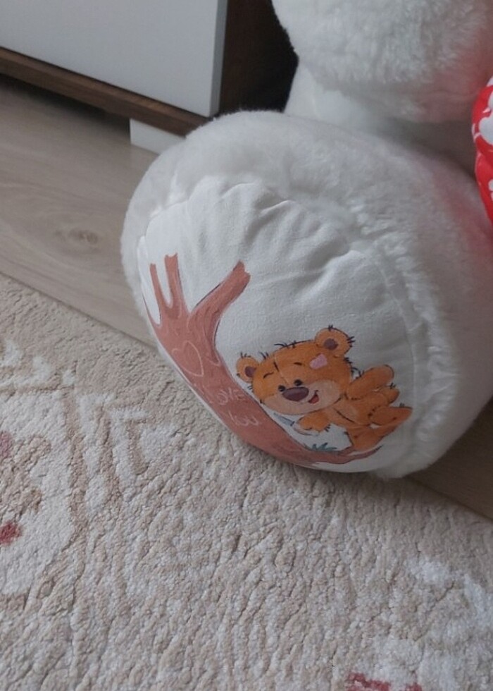 Pelus ayı  - Görsel 4