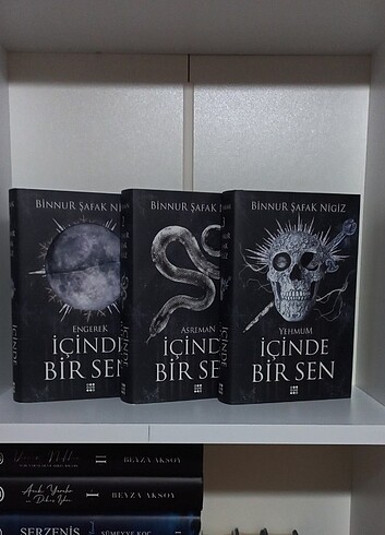Binnur Şafak Nigiz, İçinde Bir Sen