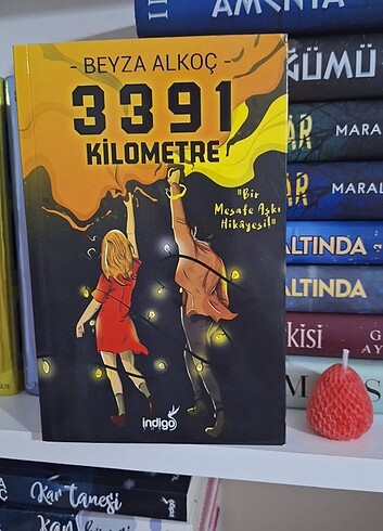 3391 Kilometre