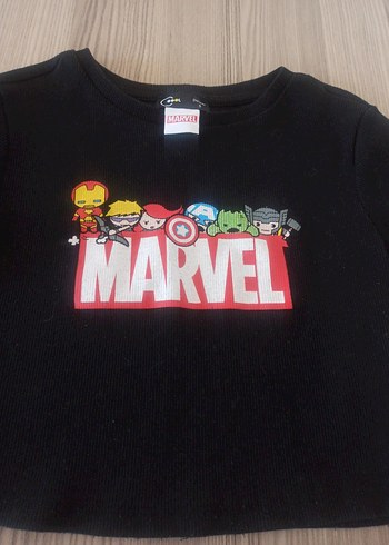 TİŞÖRT - Görsel 3