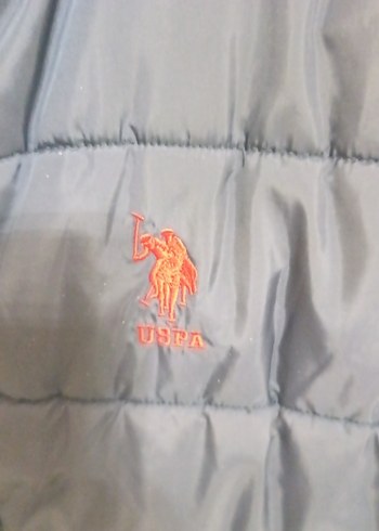 USPA Erkek Yelek - Görsel 2