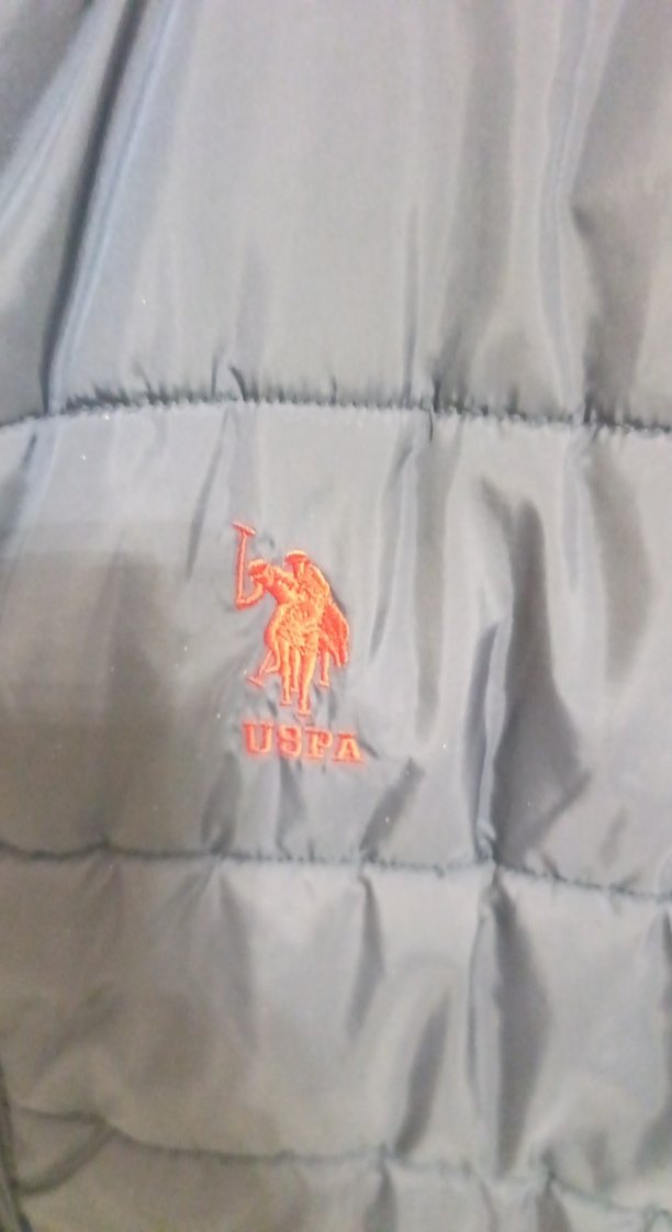 USPA Erkek Yelek - Görsel 2