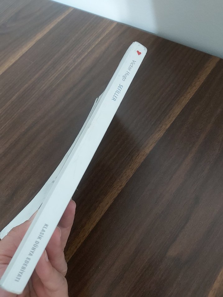 Şu Acayip Gökyüzü - Tank Uslu - Görsel 2