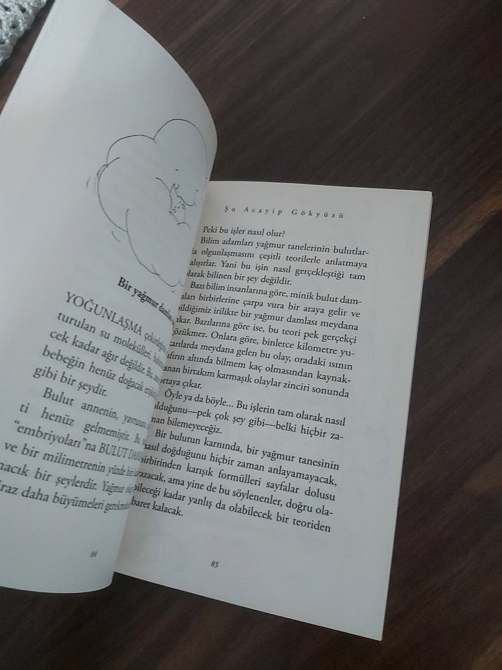 Şu Acayip Gökyüzü - Tank Uslu - Görsel 5